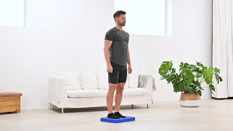 Balancetraining Lunge and Side Step auf dem ARTZT vitality Stabilitätstrainer Balance Pad